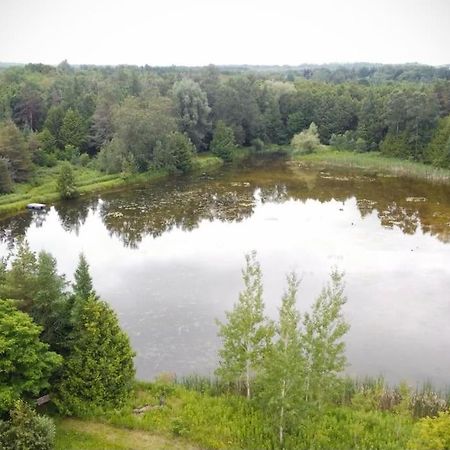 Cottage Retreat On 11 Acres Flesherton Exterior foto